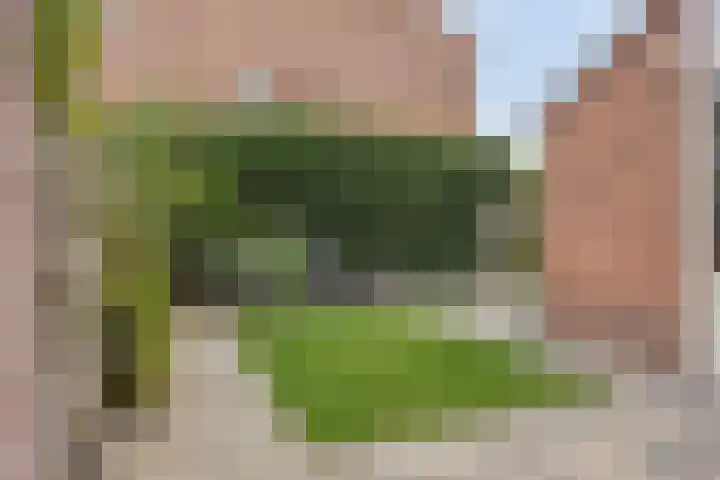 Tuinlaan 33 Bemmel thumbnail 26
