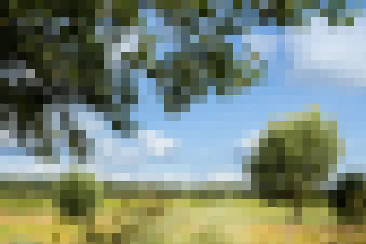 Tuinlaan 33 Maartensdijk thumbnail 16