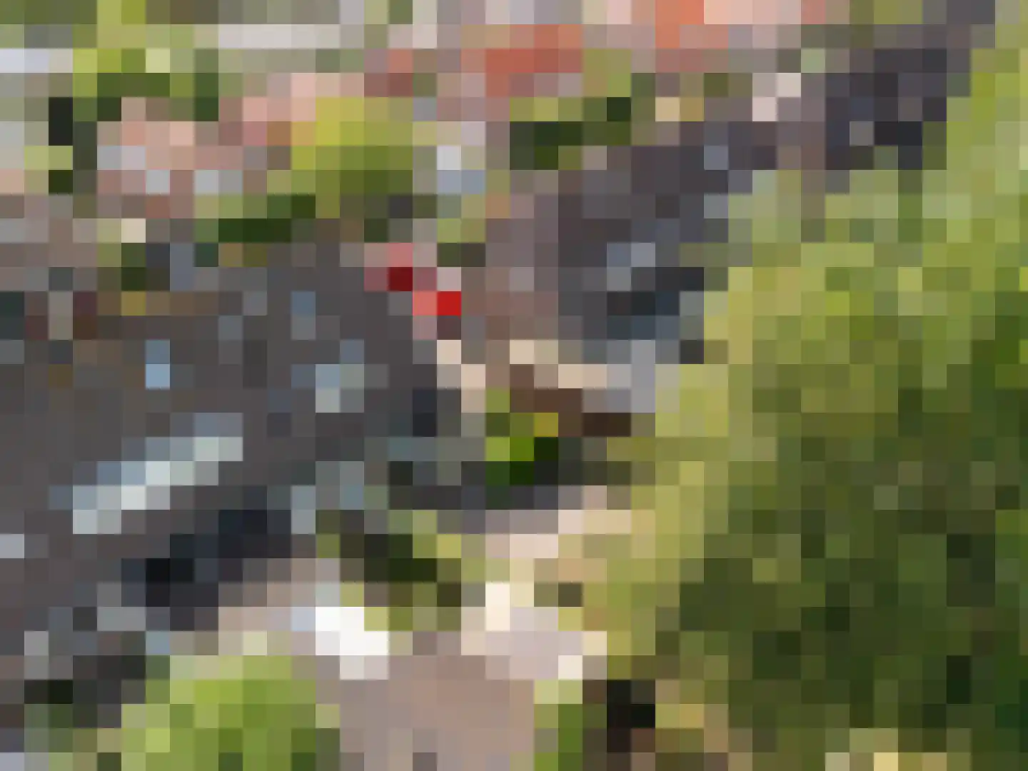 Tuinlaan 33 Maartensdijk thumbnail 25
