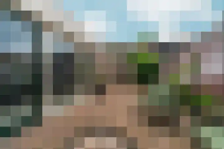 Tuinlaan 38 Bemmel thumbnail 38