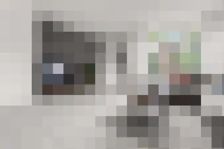 Tuinlaan 38 Bemmel thumbnail 6