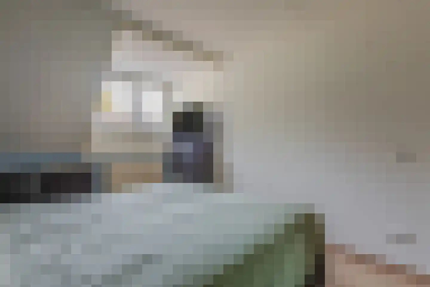 Tuinlaan 40 Bemmel thumbnail 18