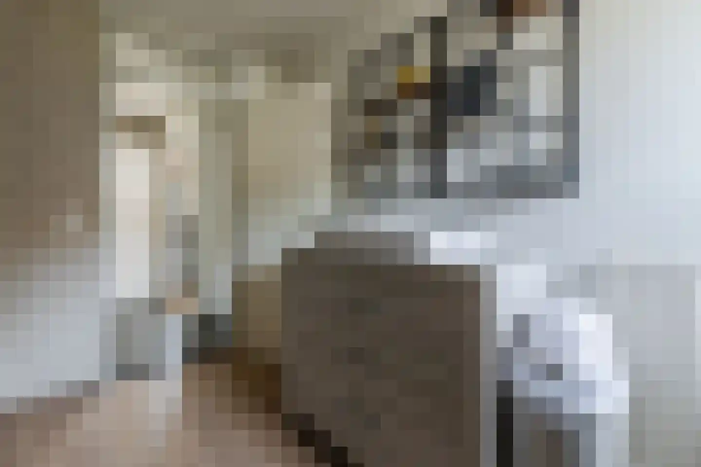 Tuinlaan 40 Bemmel thumbnail 23