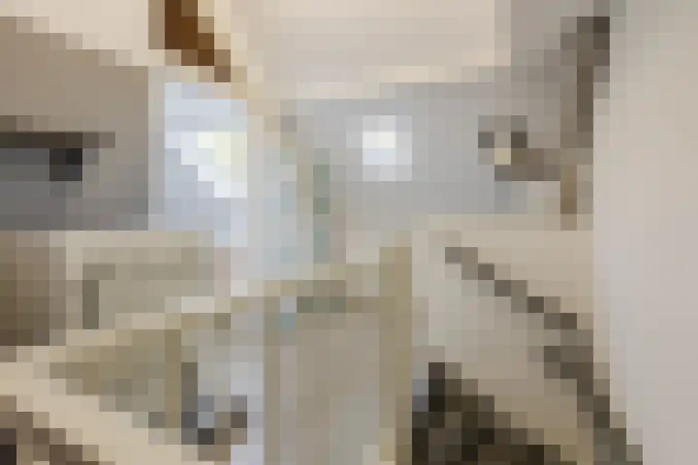 Tuinlaan 40 Bemmel thumbnail 28