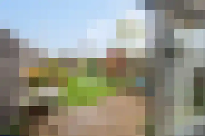 Tuinlaan 42 Schiedam thumbnail 16