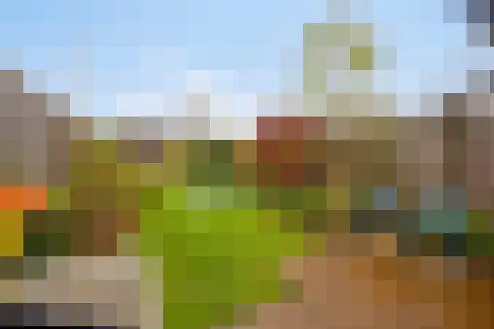 Tuinlaan 42 Schiedam thumbnail 17