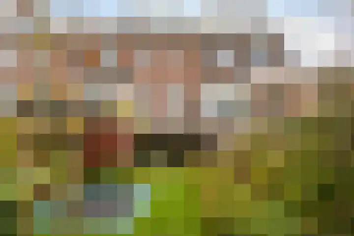 Tuinlaan 42 Schiedam thumbnail 18