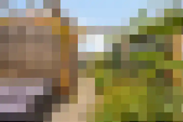 Tuinlaan 42 Schiedam thumbnail 20