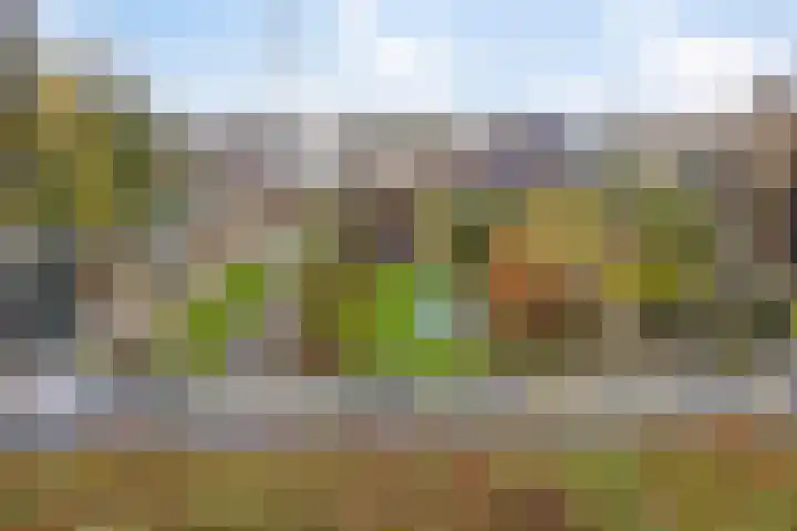 Tuinlaan 42 Schiedam thumbnail 37