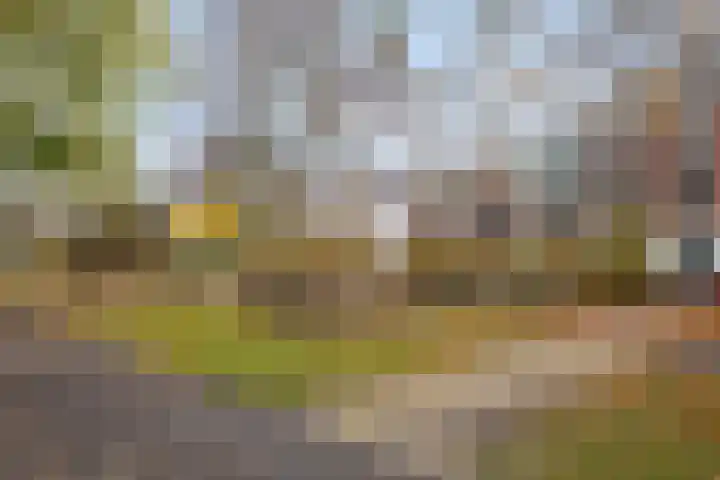 Tuinlaan 42 Schiedam thumbnail 5
