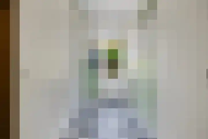 Tuinlaan 64 Bemmel thumbnail 15