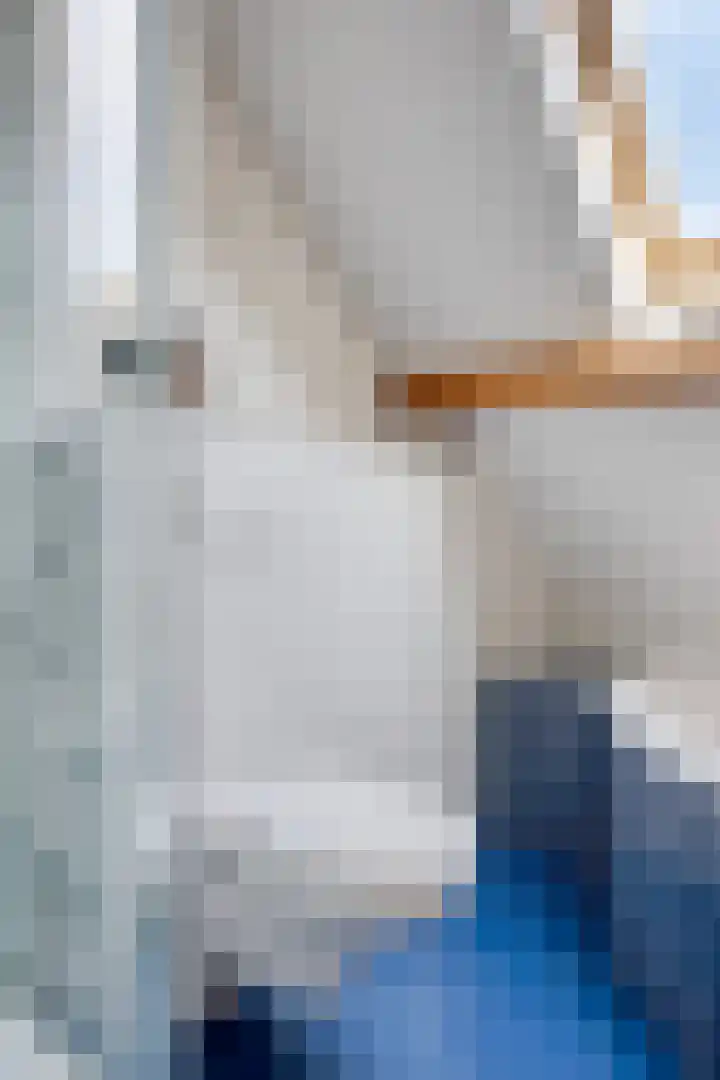 Tuinlaan 64 Bemmel thumbnail 23