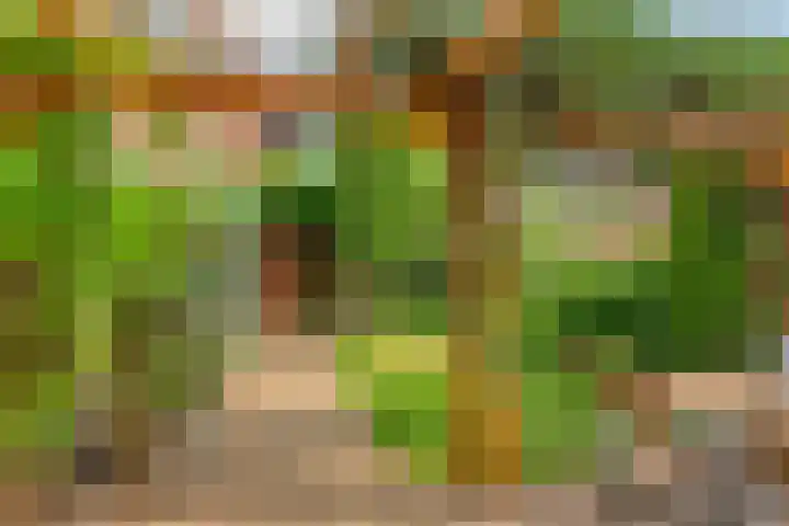 Tuinlaan 64 Bemmel thumbnail 29