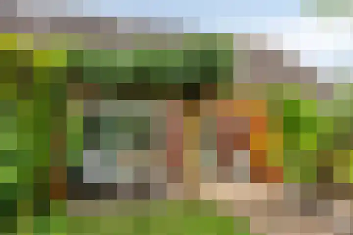 Tuinlaan 64 Bemmel thumbnail 30