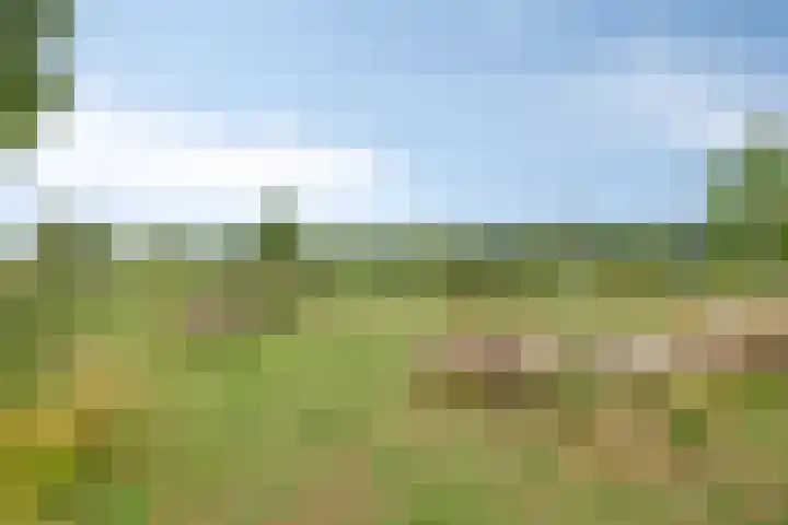 Tuinlaan 64 Bemmel thumbnail 31