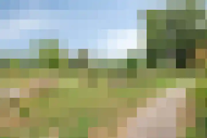 Tuinlaan 64 Bemmel thumbnail 32