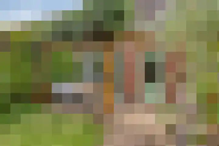 Tuinlaan 64 Bemmel thumbnail 4