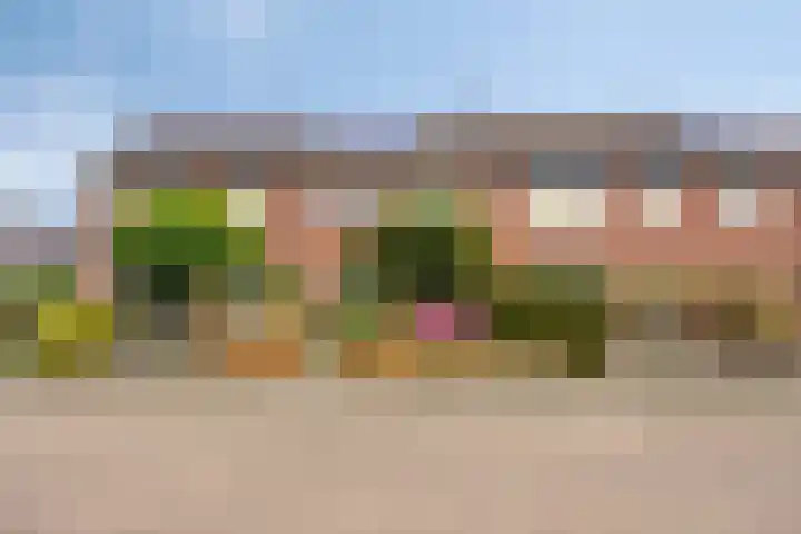 Tuinlaan 64 Bemmel thumbnail 5