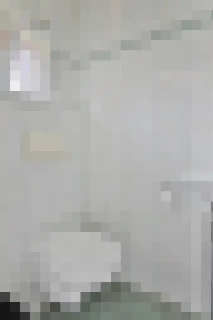 Tuinlaan 64 Bemmel thumbnail 9