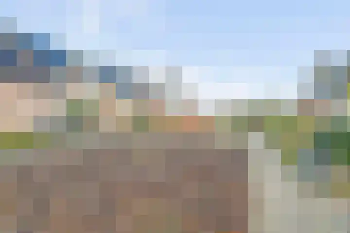 Tuinlaan 82 Bemmel thumbnail 42