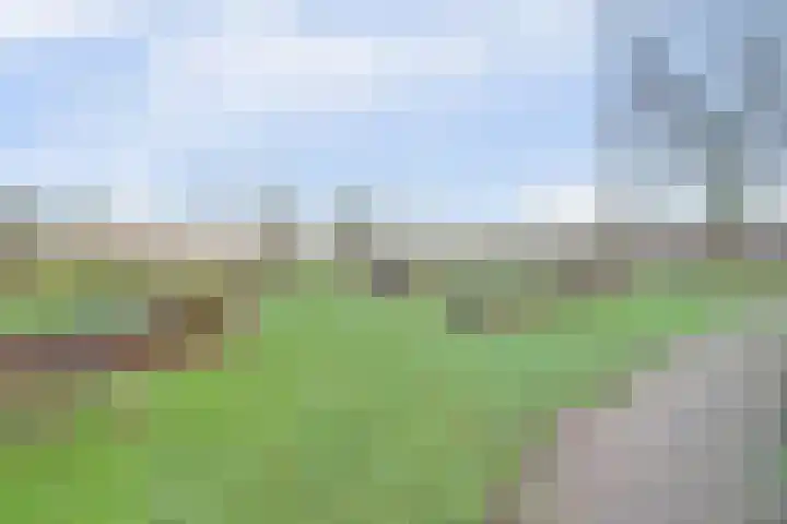 Tuinlaan 82 Bemmel thumbnail 45