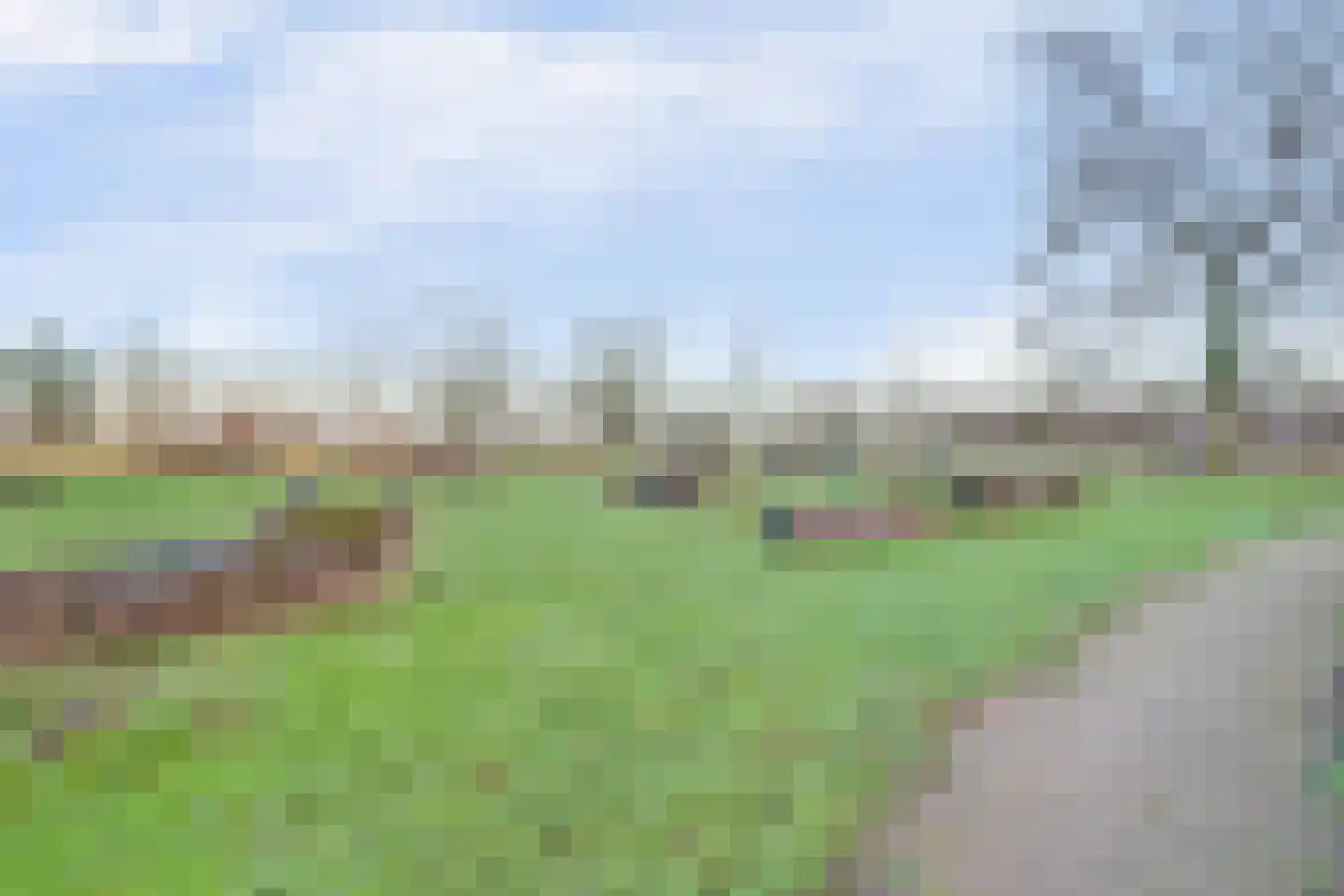 Tuinlaan 82 Bemmel thumbnail 45
