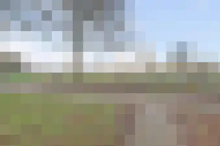 Tuinlaan 82 Bemmel thumbnail 47