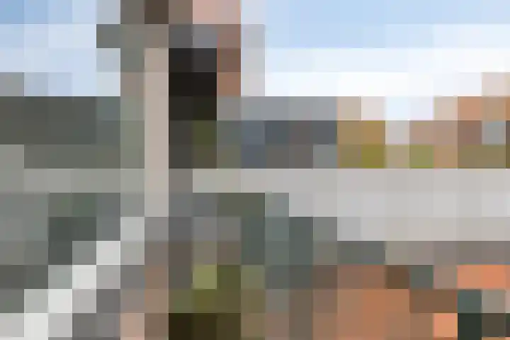 Tuinlaantje 2 I Haarlem thumbnail 27