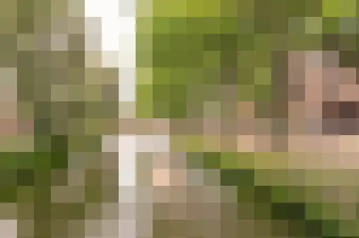Tuinlaantje 2 I Haarlem thumbnail 32