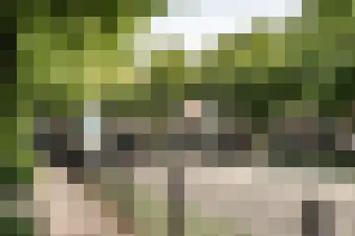 Tuinlaantje 2 I Haarlem thumbnail 33