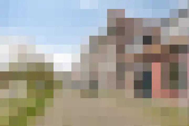 Tuinlaantje 2 I Haarlem thumbnail 6