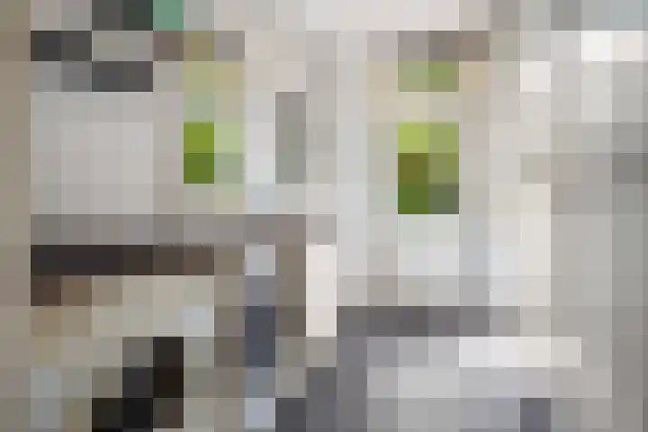 Tuinmansdwarslaan 10 Apeldoorn thumbnail 11