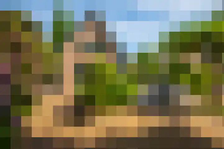 Tuinmansdwarslaan 10 Apeldoorn thumbnail 26