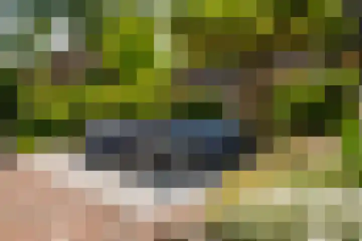 Tuinmansdwarslaan 10 Apeldoorn thumbnail 28