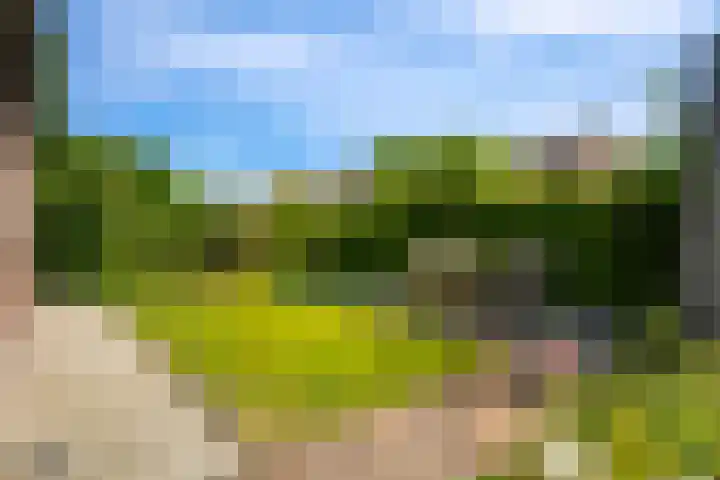 Tuinmansdwarslaan 10 Apeldoorn thumbnail 29