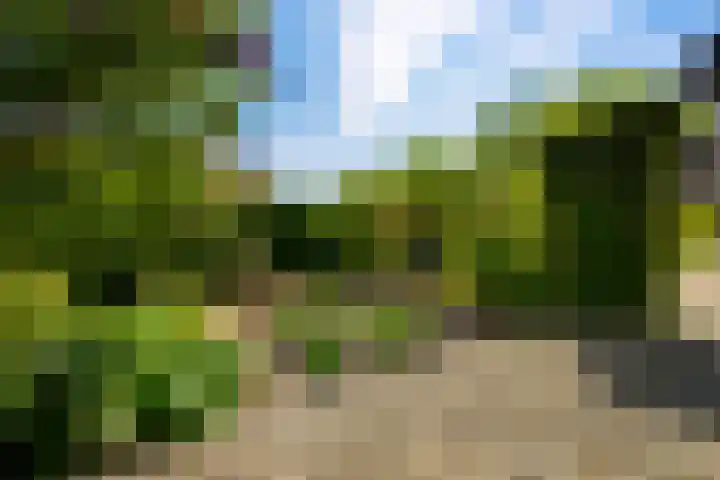 Tuinmansdwarslaan 10 Apeldoorn thumbnail 30