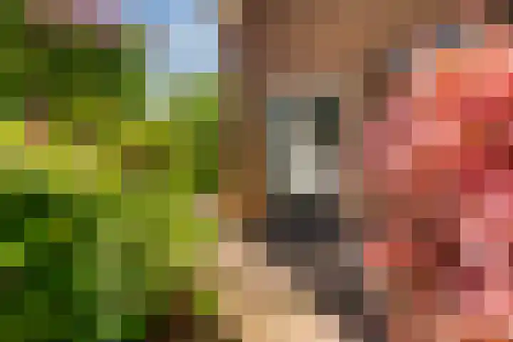 Tuinmansdwarslaan 10 Apeldoorn thumbnail 33