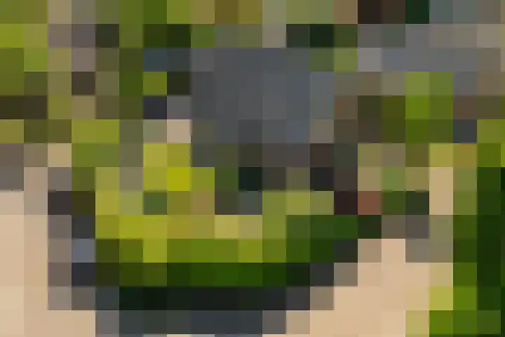 Tuinmansdwarslaan 10 Apeldoorn thumbnail 38