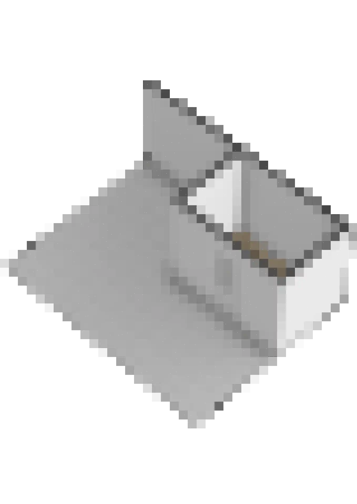 Tuinmanslaan 12 Leek thumbnail 49