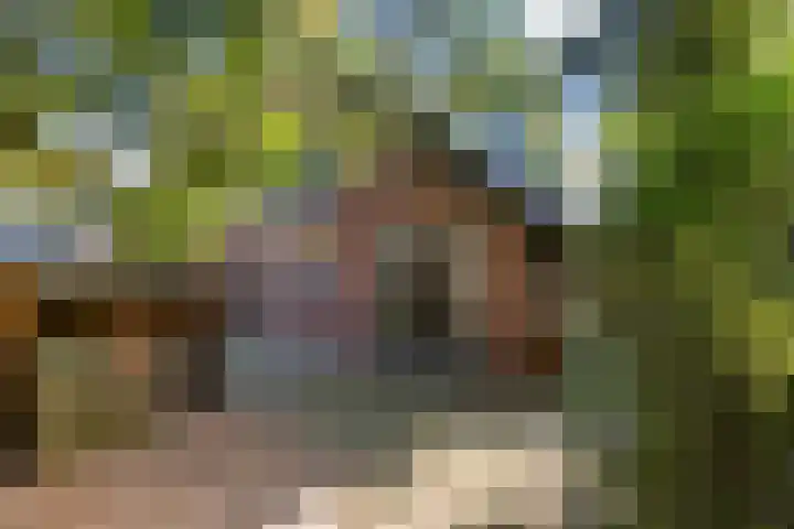 Tuinmanslaan 3 Apeldoorn thumbnail 32