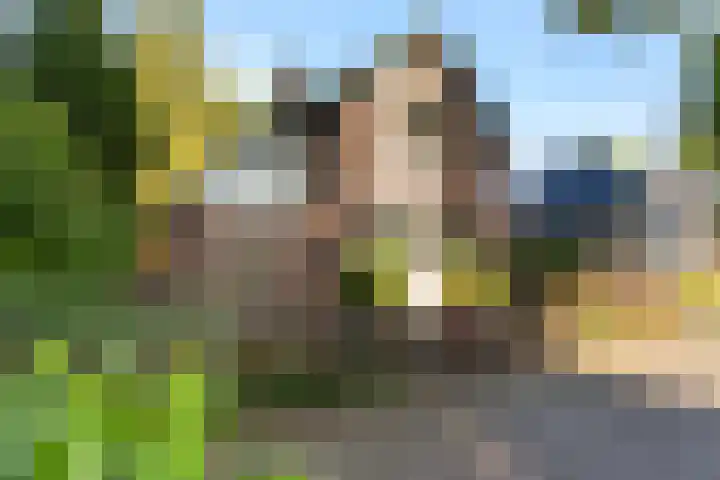 Tuinmanslaan 3 Apeldoorn thumbnail 39