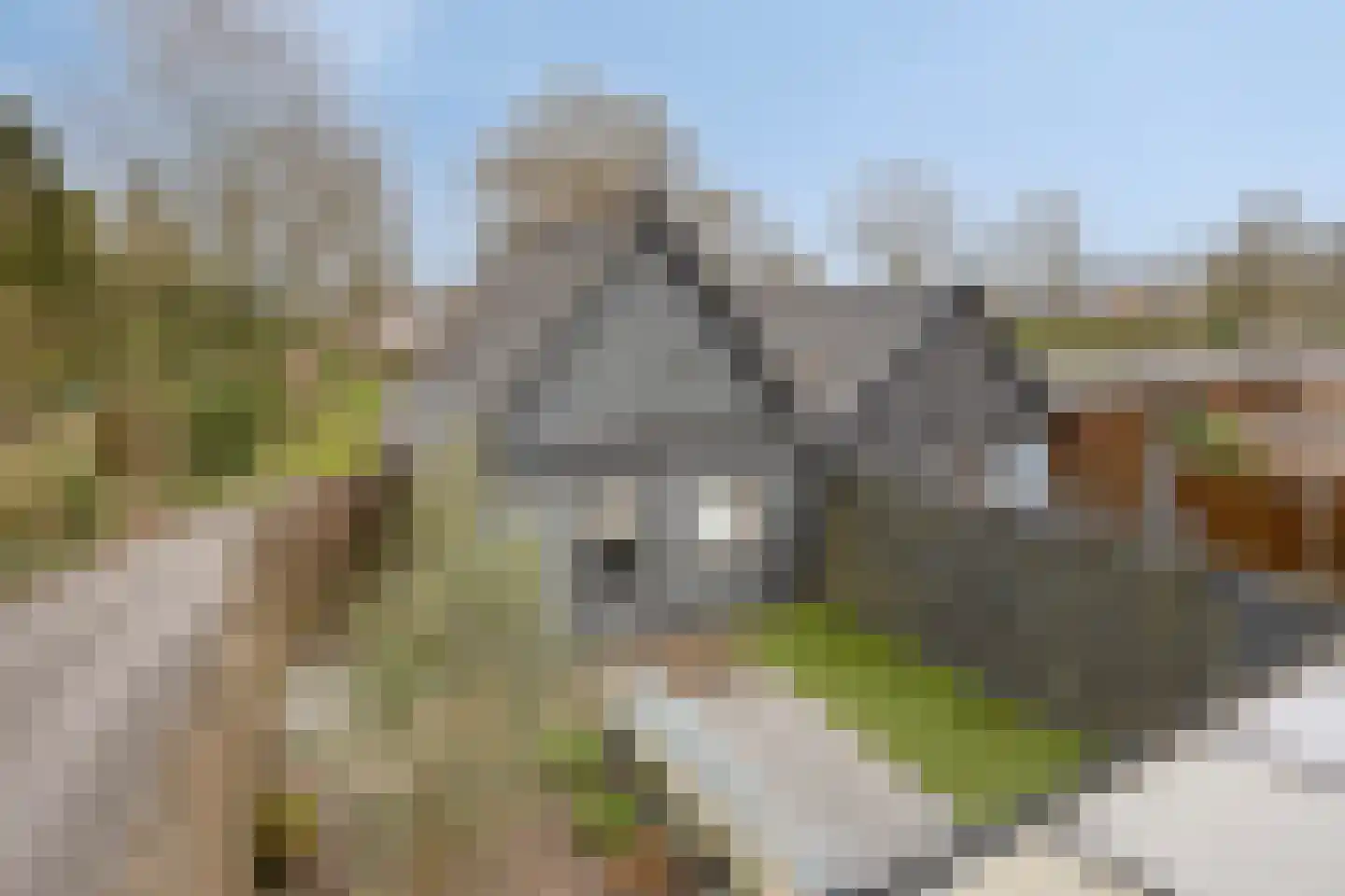 Tuinmanslaan 79 Leek thumbnail 24