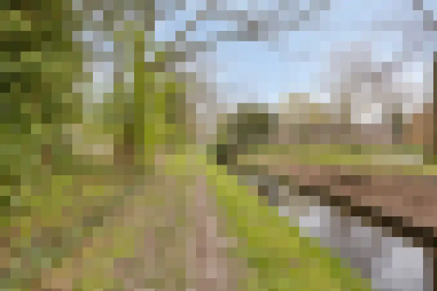 Tuinmanslaan 79 Leek thumbnail 28