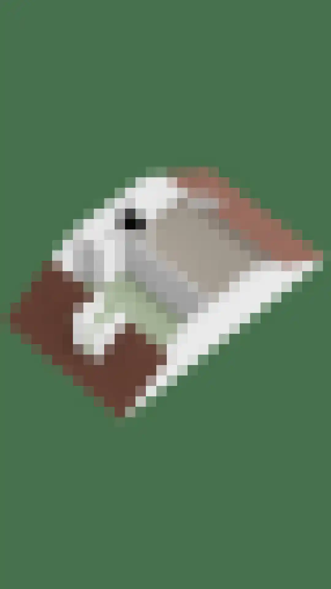 Tuinmanslaan 79 Leek thumbnail 39