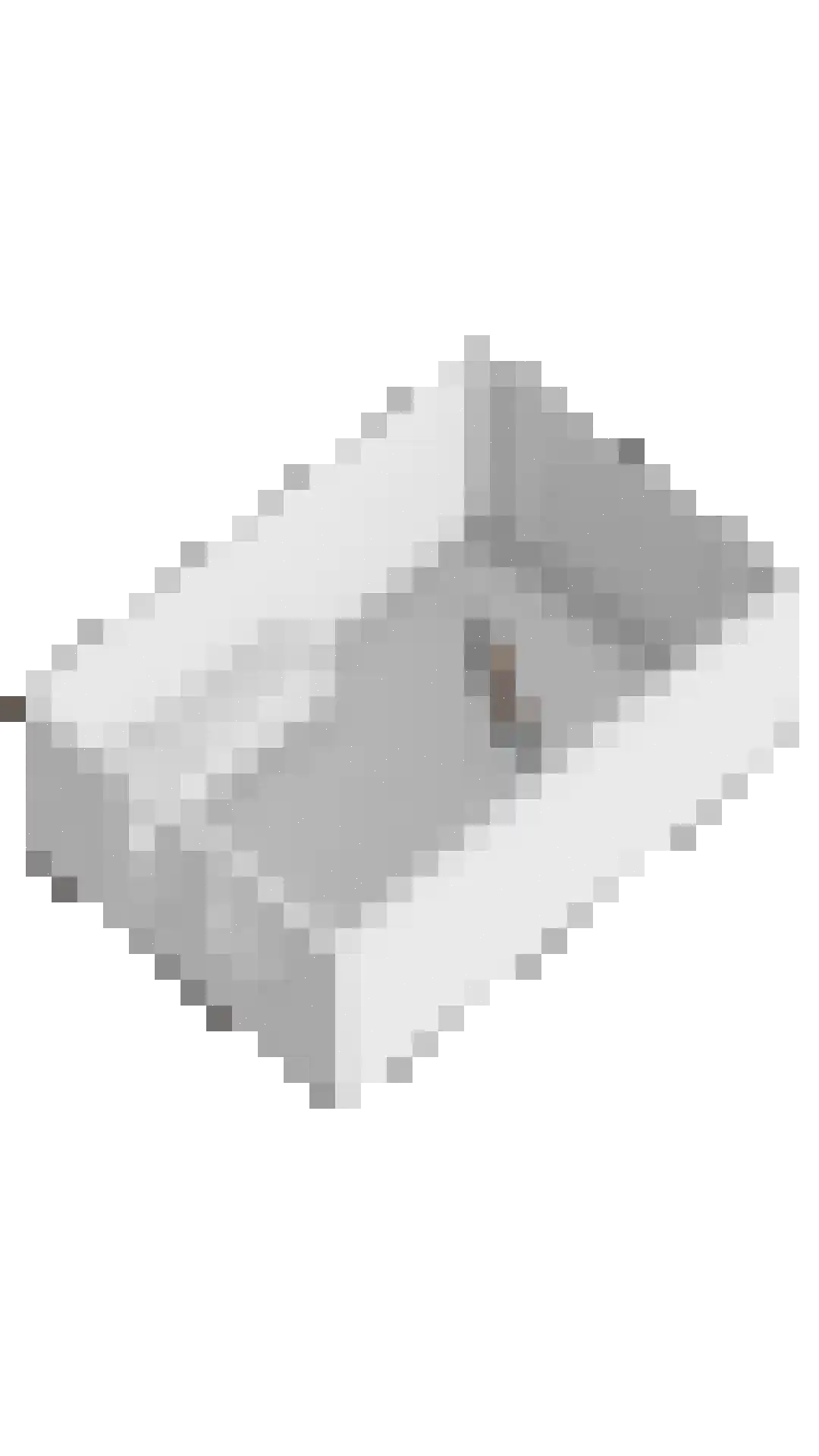 Tuinmanslaan 79 Leek thumbnail 41