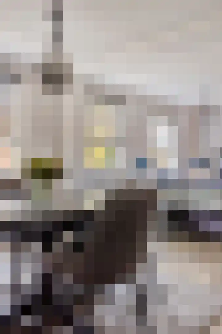 Tuinpad 2 Valkenswaard thumbnail 16