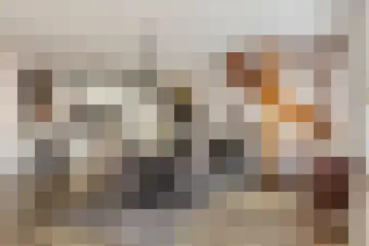 Tuinpad 2 Valkenswaard thumbnail 9