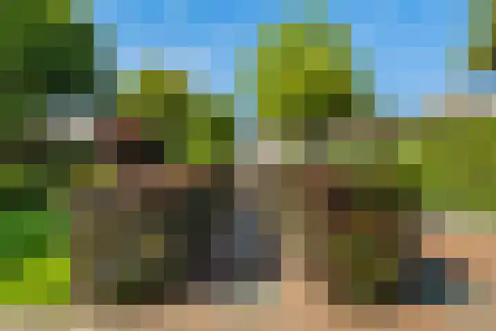 Tuinpad 21 Wassenaar thumbnail 11