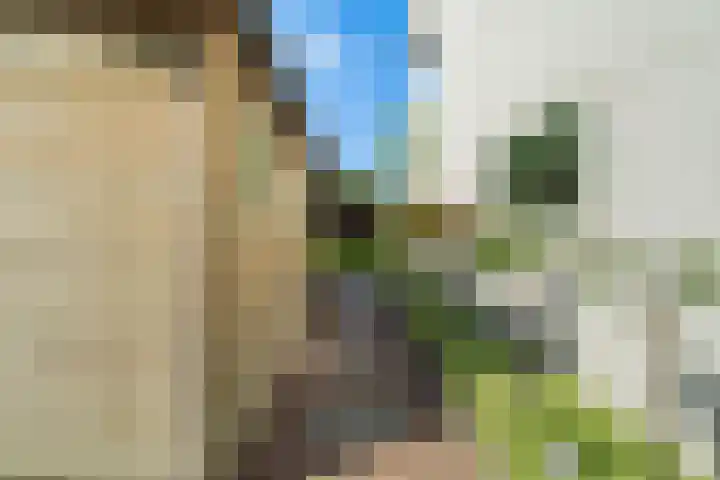 Tuinpad 21 Wassenaar thumbnail 14