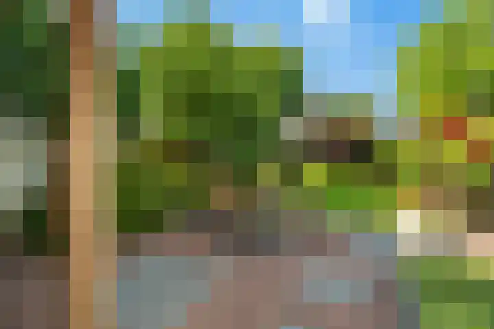 Tuinpad 21 Wassenaar thumbnail 15